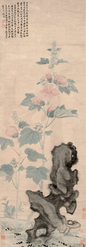 Rose Mallows
