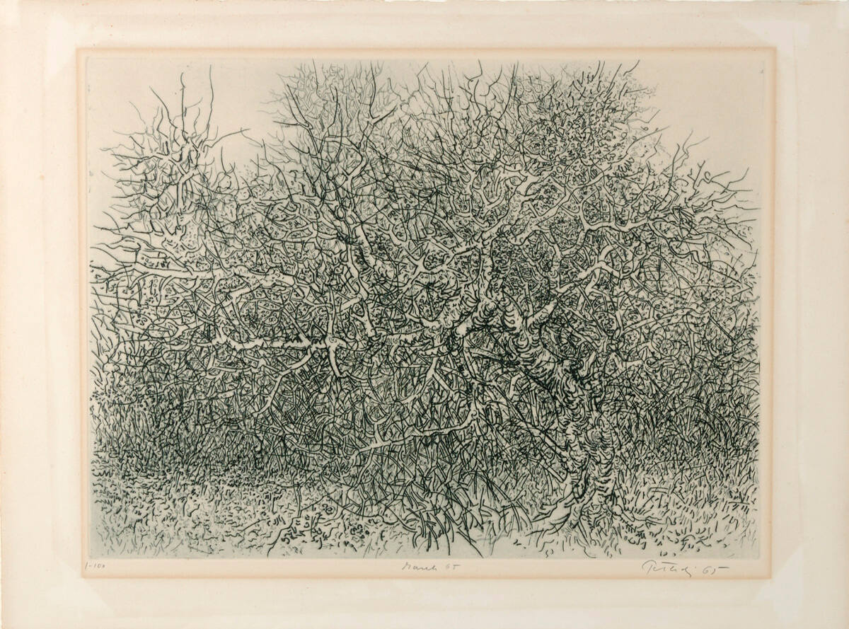 Gabor Peterdi
