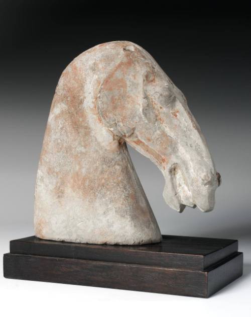 Horse Head