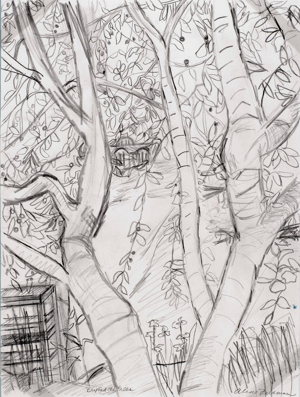 Beyond the Trees