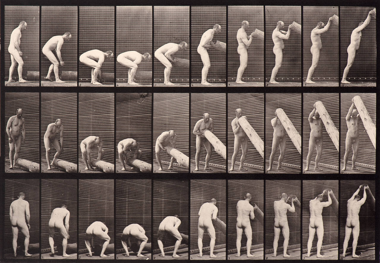 Animal Locomotion. Plate 382