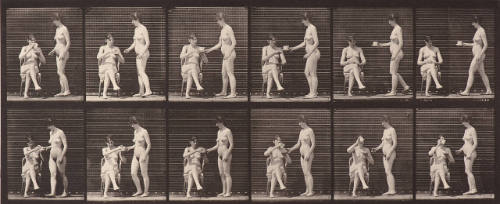 Animal Locomotion. Plate 450