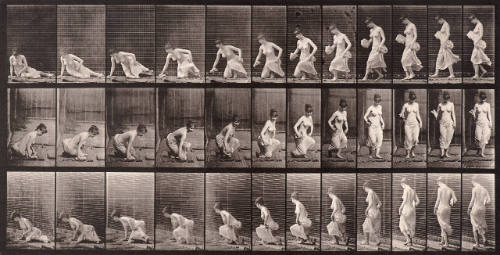 Animal Locomotion. Plate 248
