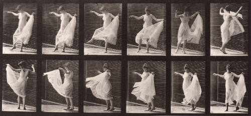 Animal Locomotion. Plate 189