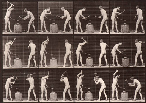 Animal Locomotion. Plate 374