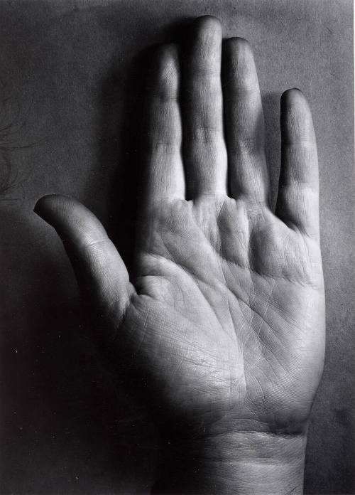 Hand (Muriel Rukeyser)