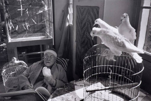 Matisse