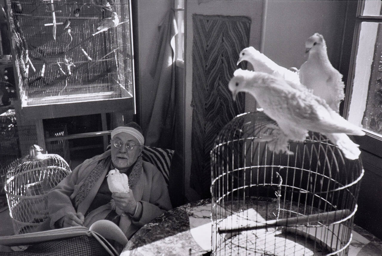 Matisse