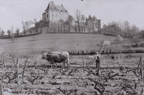 Chateau Biron, Dordogne, France
