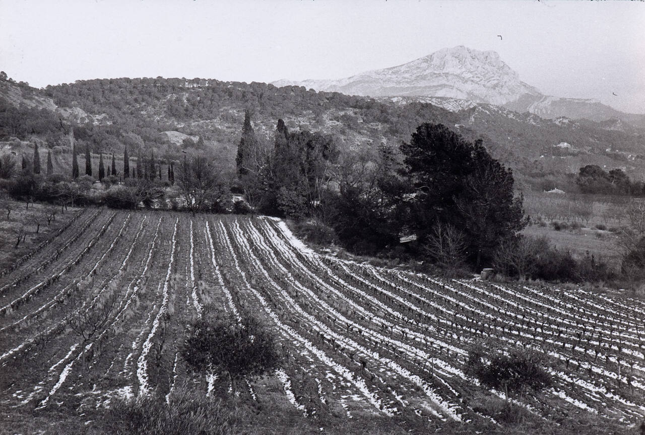 Montagne Sainte-Victoire Aix-en-Provence (Bouches Du Rhodes)
