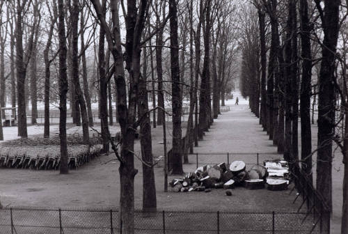 Winter day in the Tuileries gardens, Paris