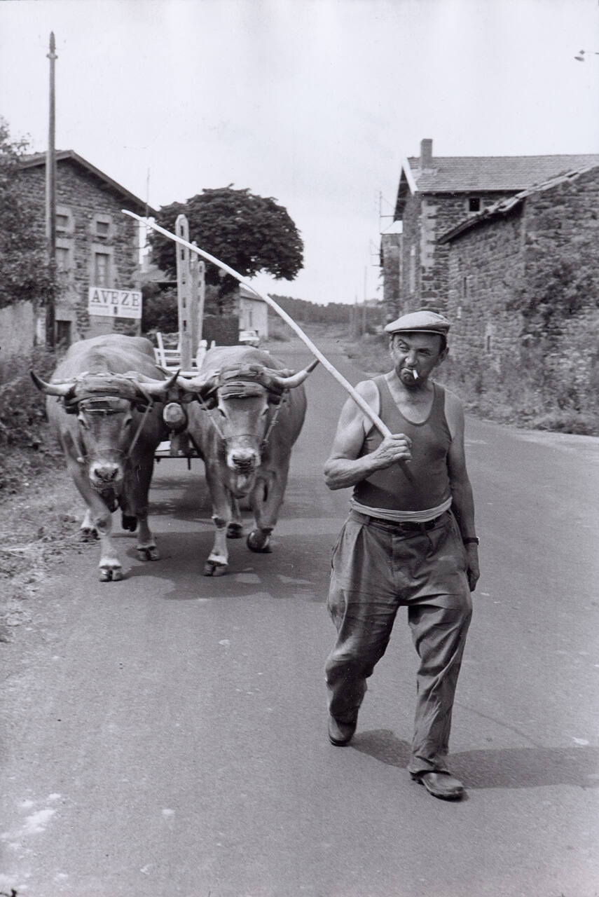 In the village of Serres, (Haute Loire)
