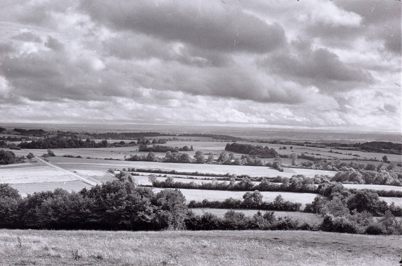 Countryside, in the Côte-d'Or