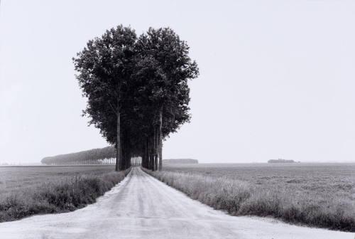 Brie, France, June, 1968