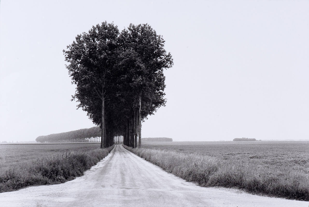 Brie, France, June, 1968