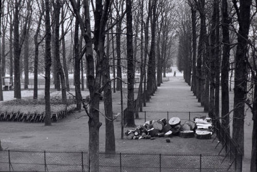 Winter day in the Tuileries gardens, Paris