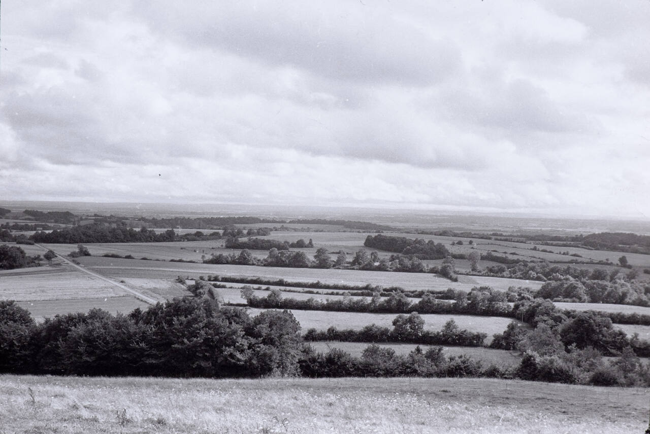Countryside, in the Côte-d'Or