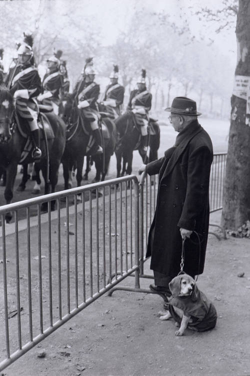 Armistice Day parade, Paris