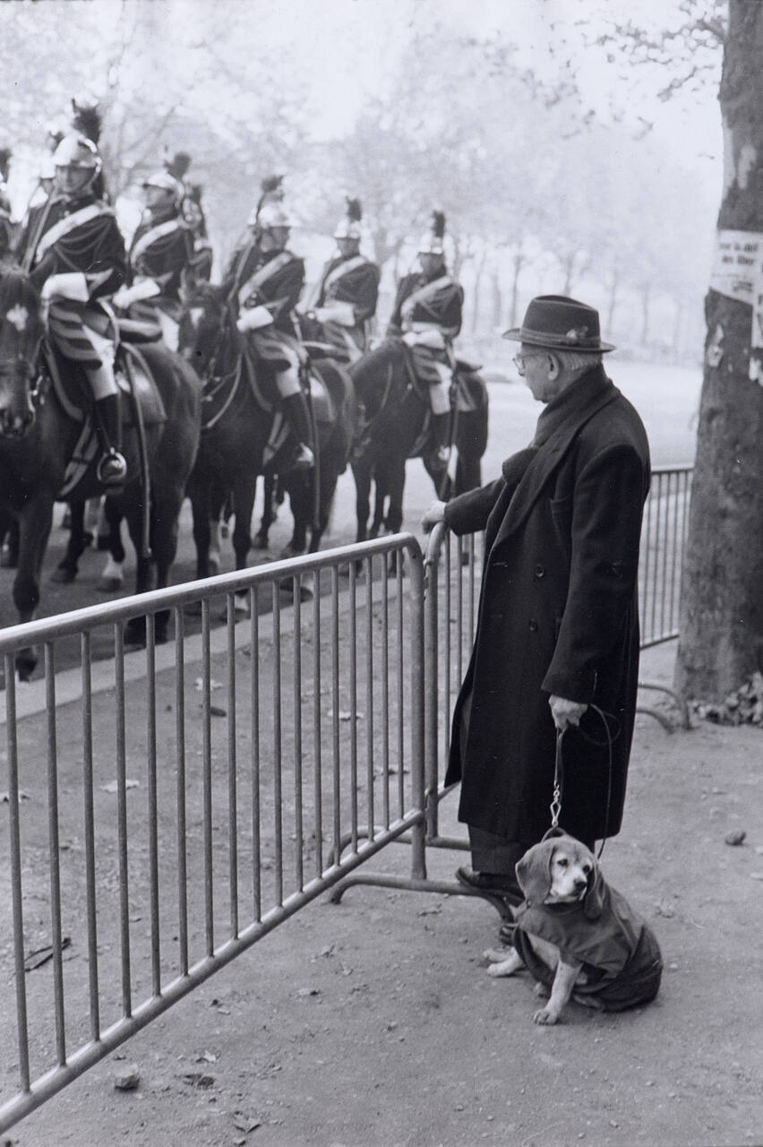 Armistice Day parade, Paris