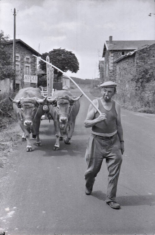 In the village of Serres, (Haute Loire)