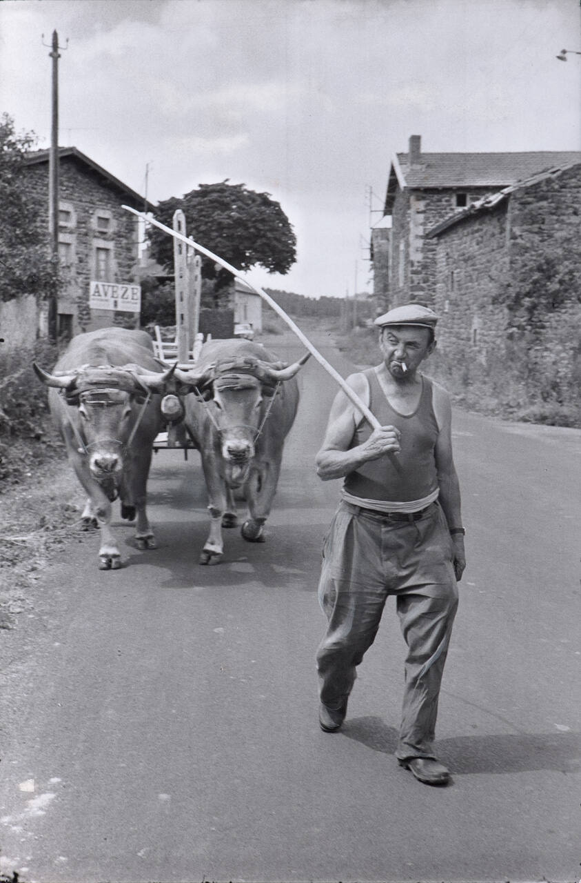 In the village of Serres, (Haute Loire)