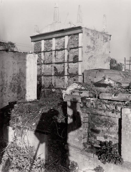 Portrait of the Photographer as a Shadow