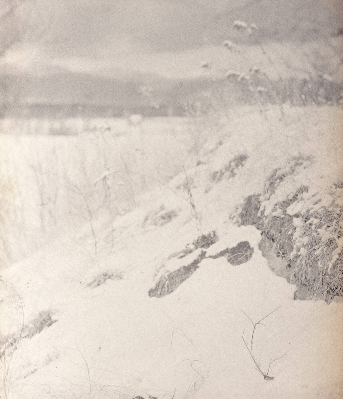 Untitled (snow scene)