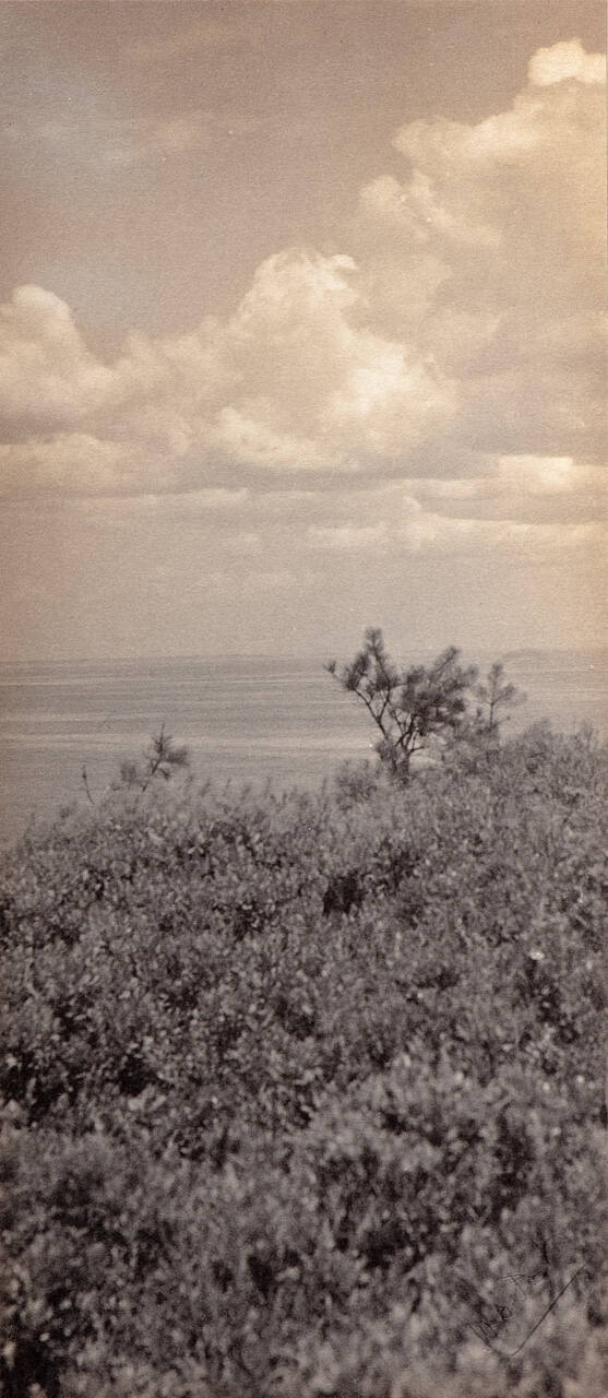 Untitled (clouds and scrub)