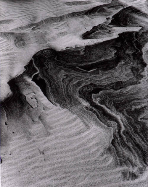 Dune, Detail