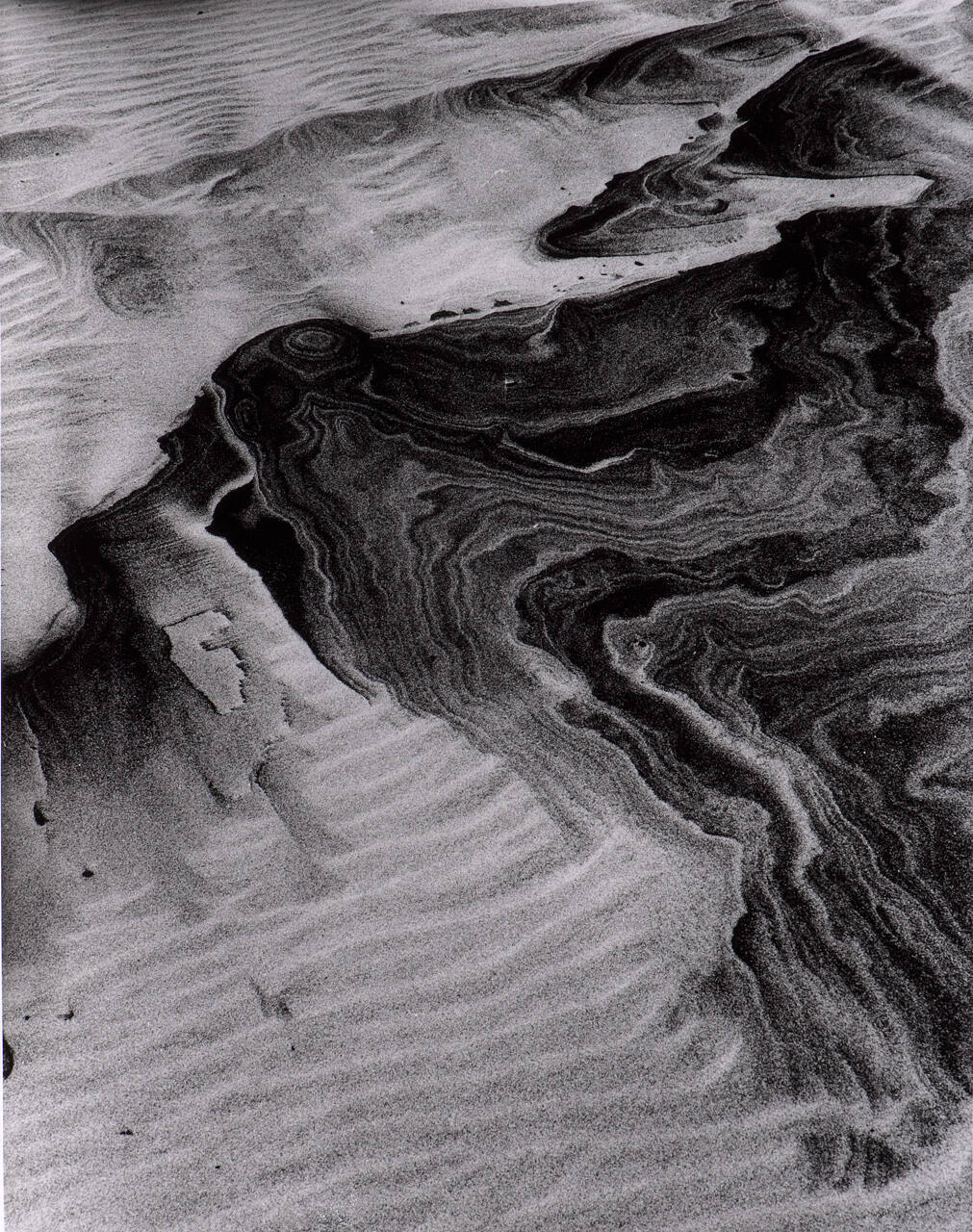 Dune, Detail