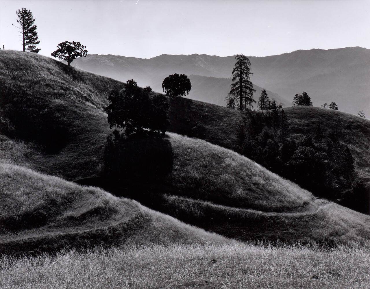 Landscape, Hills