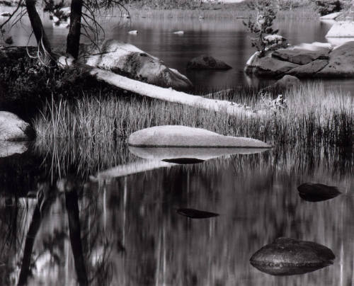 Water, Rock, Trees, Grass