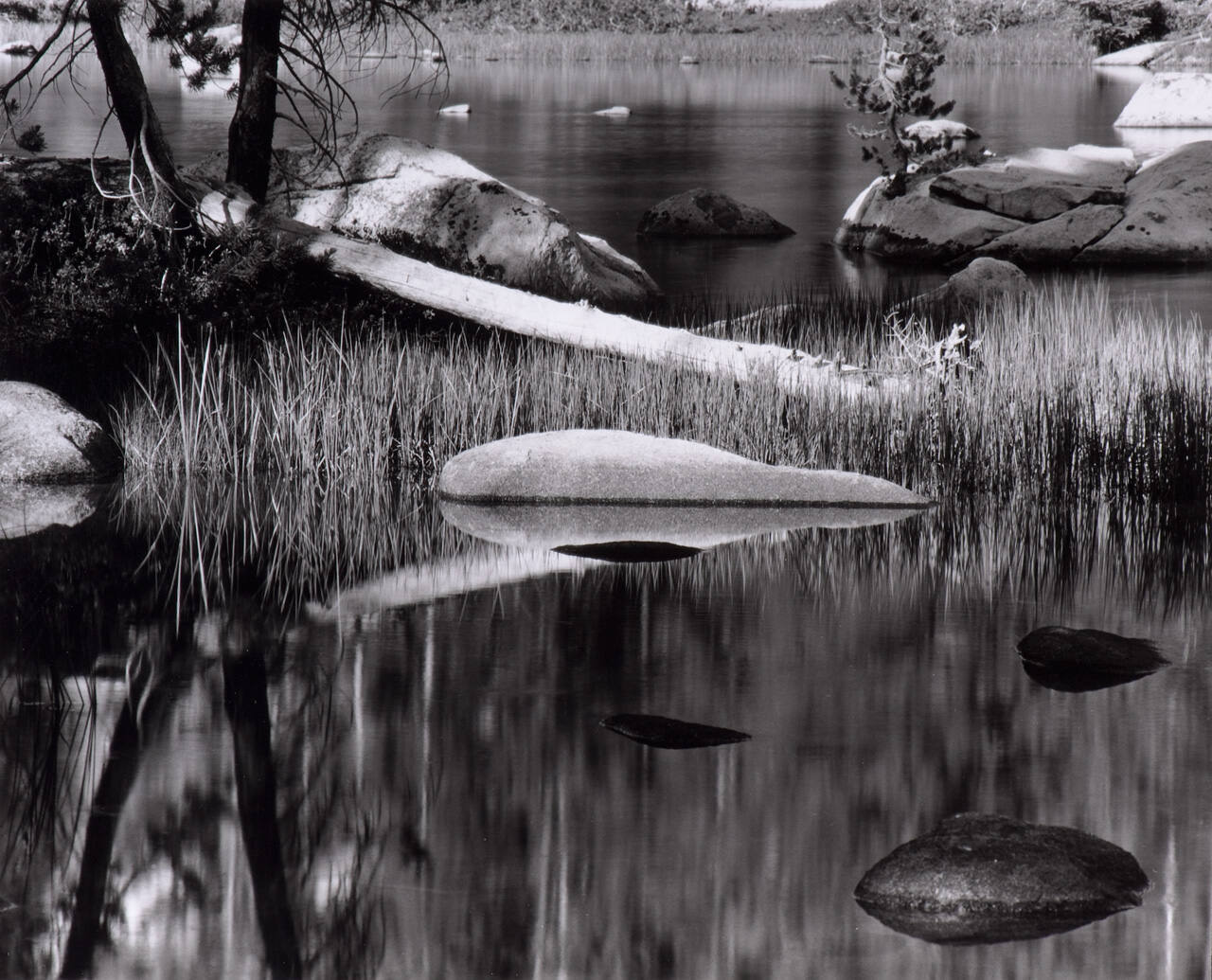 Water, Rock, Trees, Grass