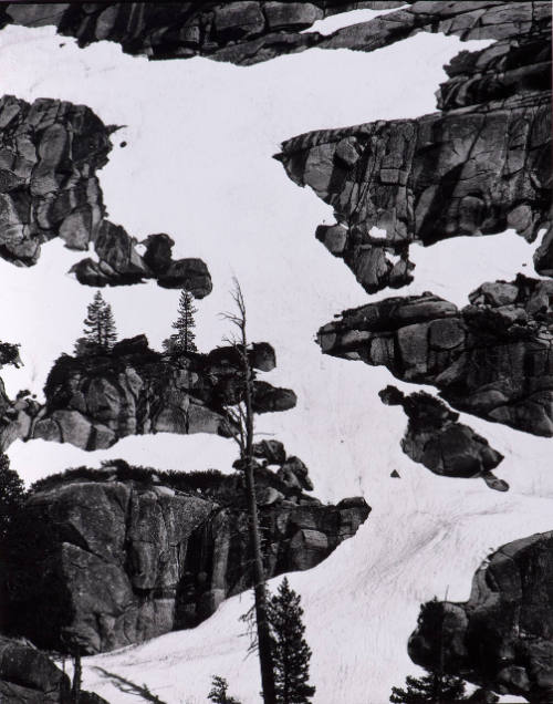 Snow, Rock, Tree