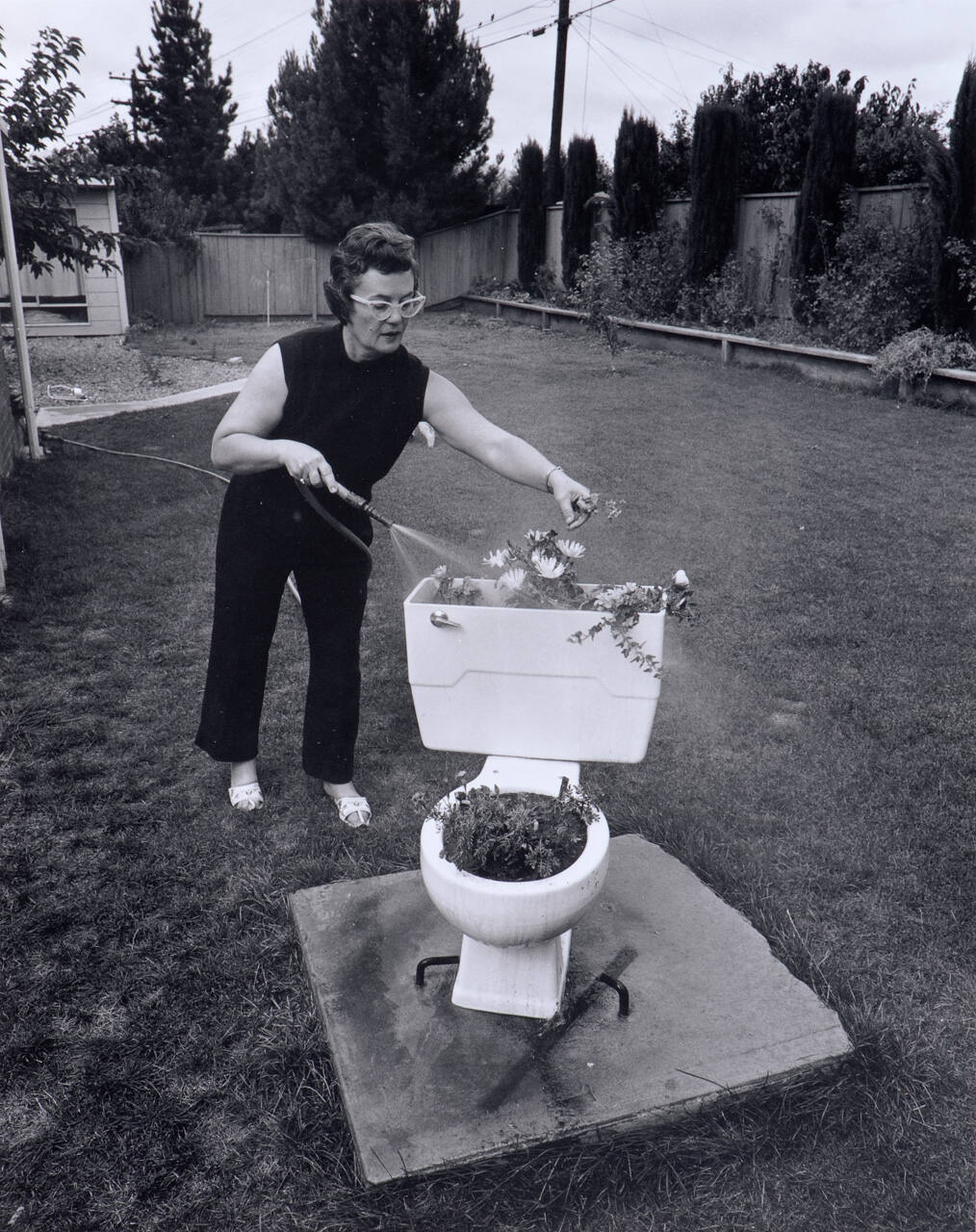 Before the dissolution of our marriage my husband and I owned a bar.  One day a toilet broke and we brought it home.