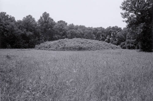 Mound E, Angel Mounds, Near Evansville, IN