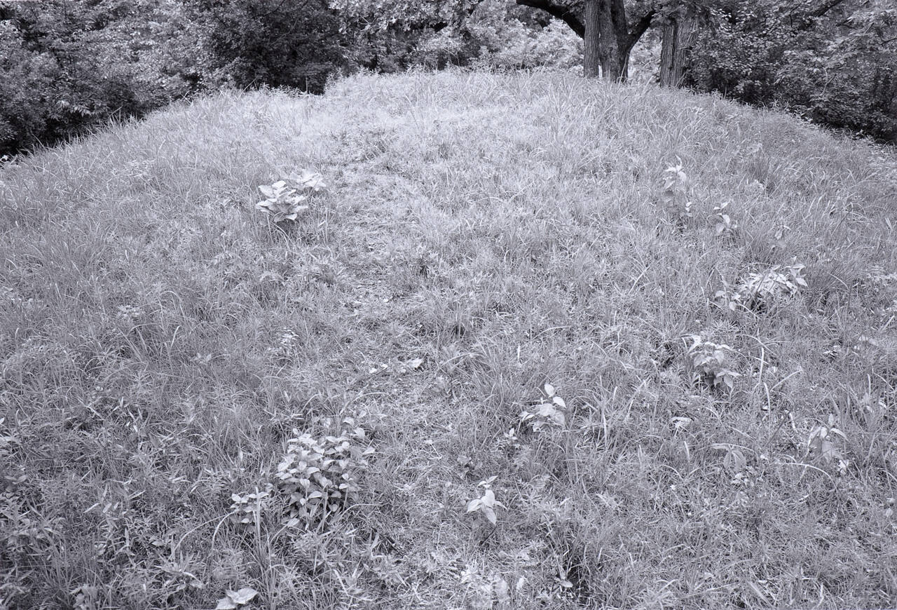 Conical Mound, Governor Nelson State Park, Lake Mendota, WI