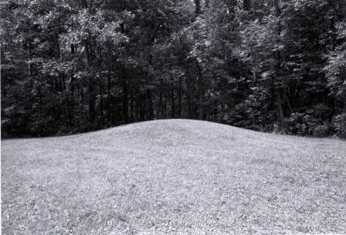 Conical Mound, Effigy Mounds, Near McGregor, Iowa