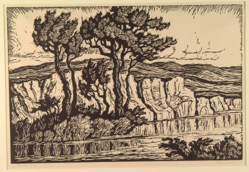 Sunshine Creek