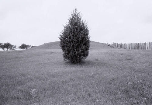 Platform Mounds, Aztalan Mounds, Aztalan, WI