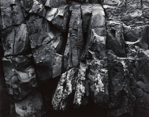 Homage to Paul Caponigro (BX52)
