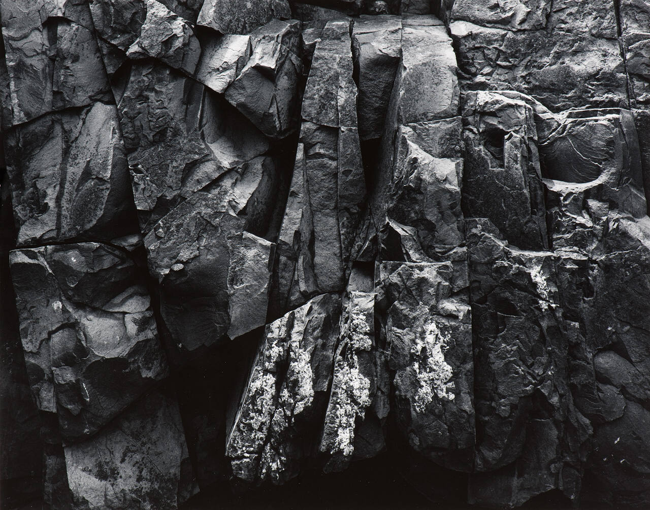 Homage to Paul Caponigro (BX52)