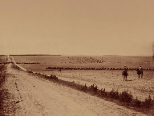 Le Camp de Châlons en Champagne