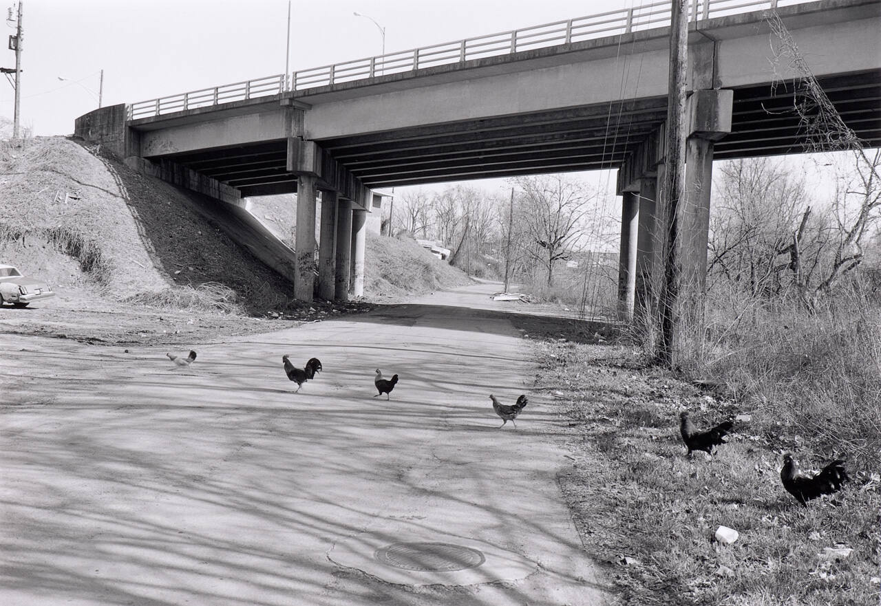 Knoxville