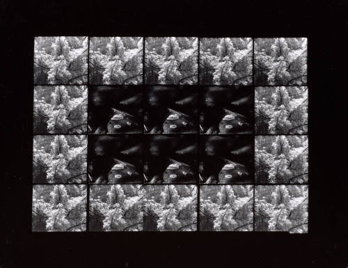 Untitled (20 Exposures on 5x7" Film)