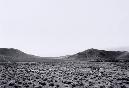 Nevada (2)