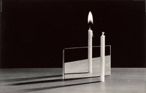 Parallax View