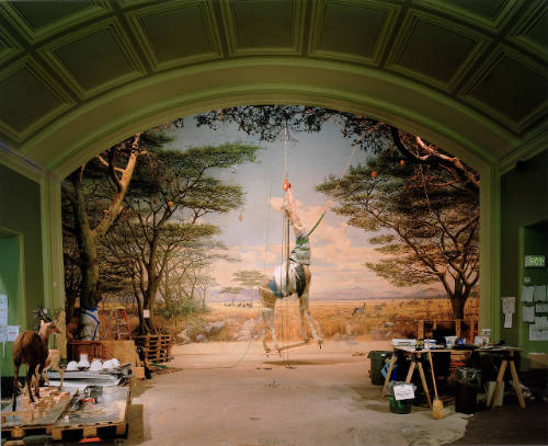 Giraffe, Academy of Sciences