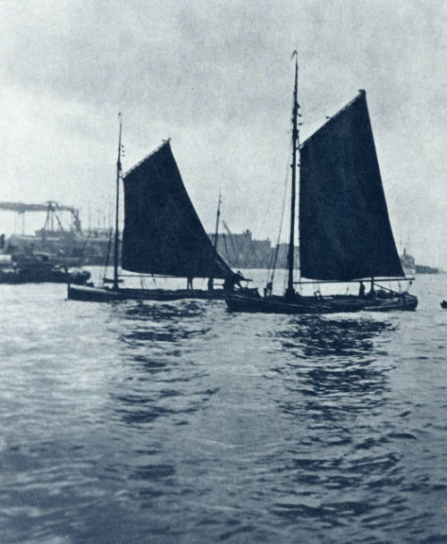 Hamburg Harbor