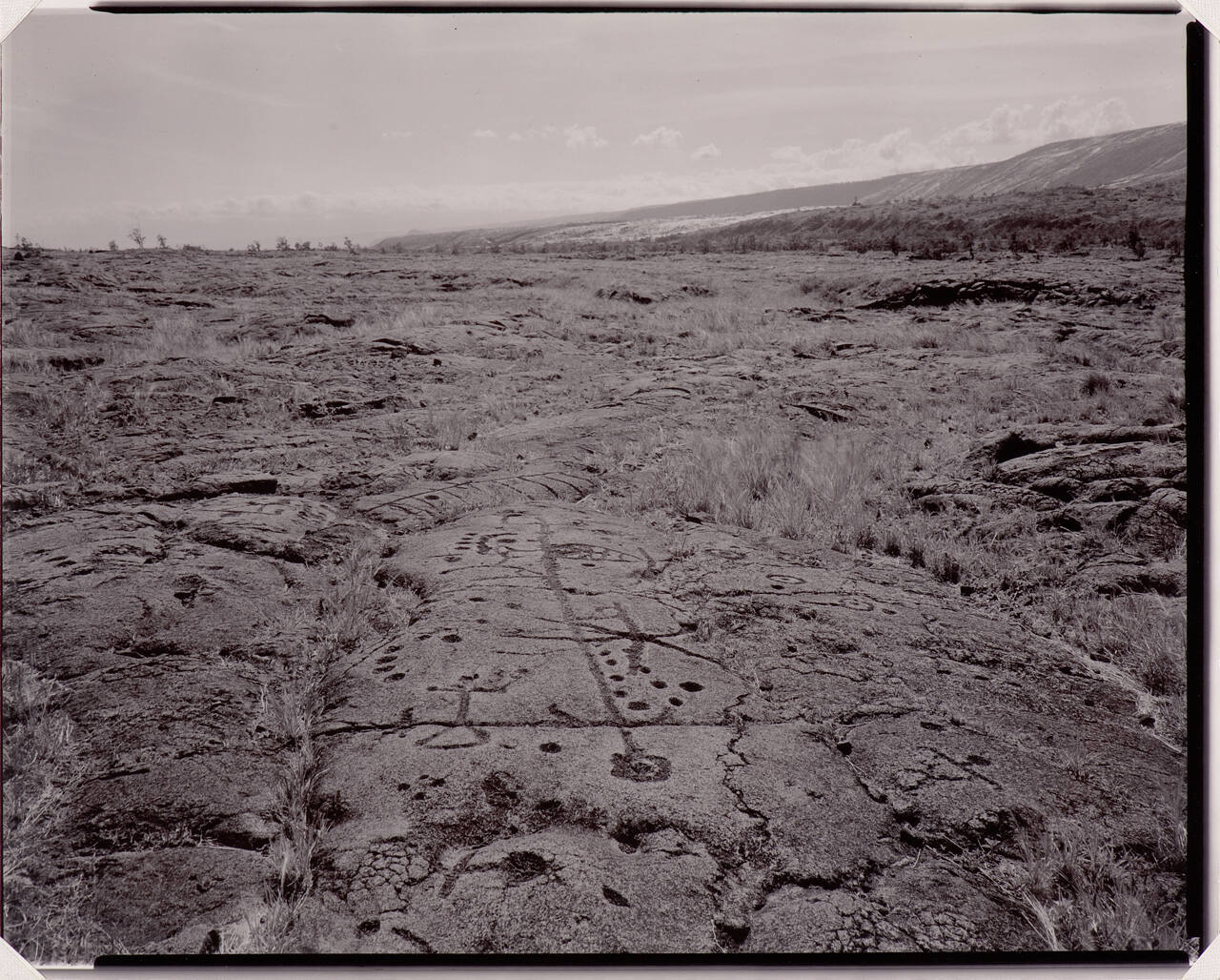 Petroglyphs, Hawaii